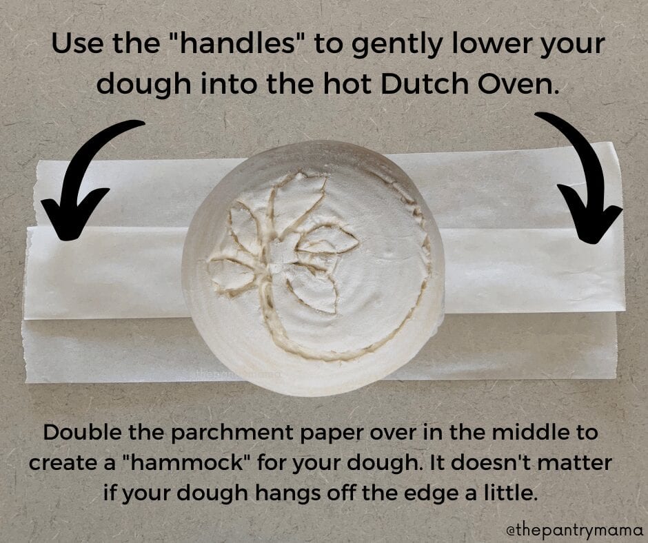 Colocar de forma segura su masa fermentada en un horno holandés caliente.
