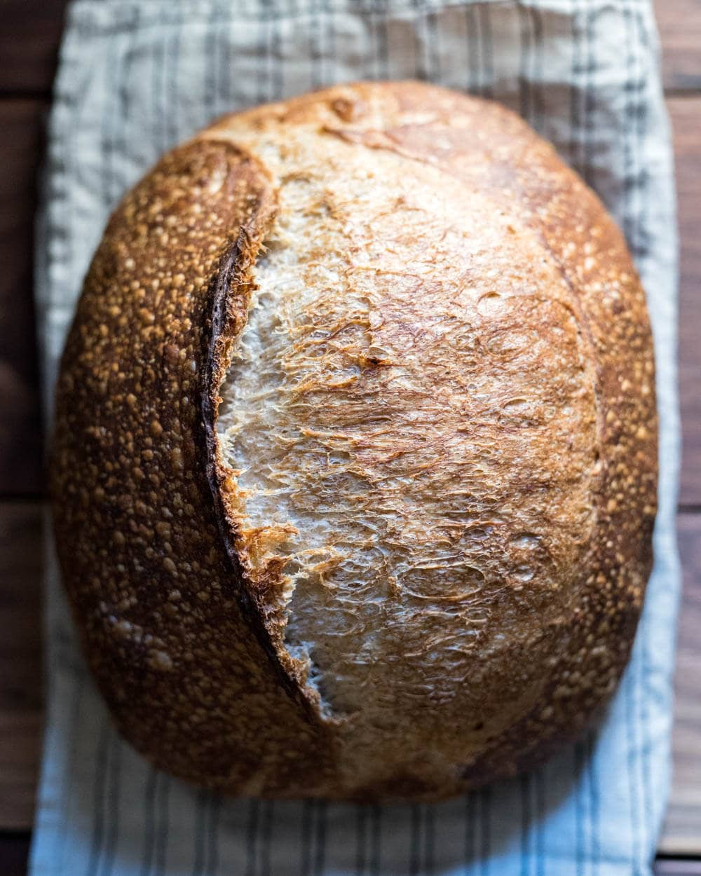 The Perfect Loaf Fresh Milled Whole Wheat