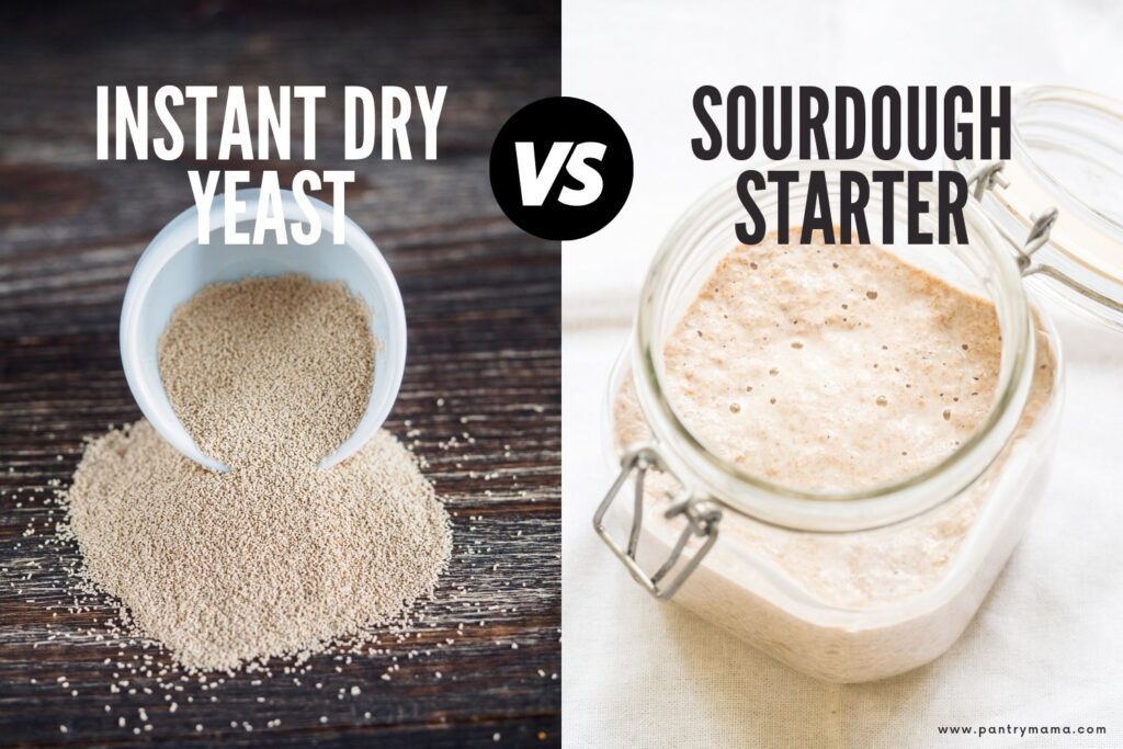 Instant Dry Yeast vs Sourdough Starter: la foto muestra ambos tipos de levadura (levadura seca instantánea a la izquierda y masa fermentada a la derecha).