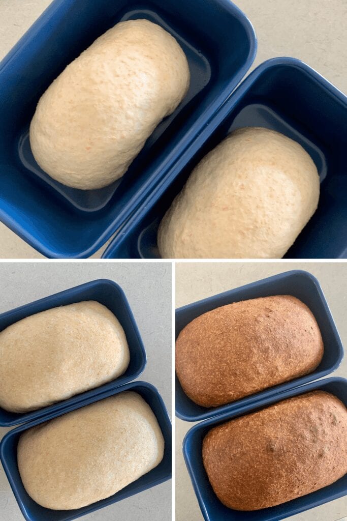 Dividir el pan de sándwich de masa madre de trigo integral en dos moldes de pan más pequeños.