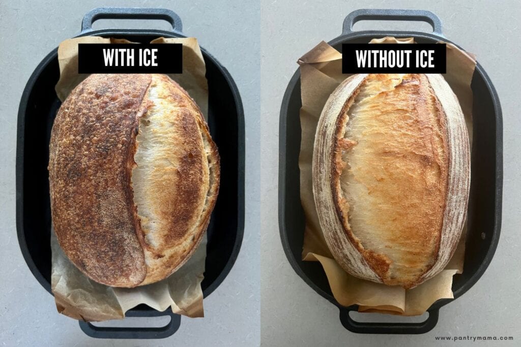 Dos panes de masa madre uno al lado del otro.  Uno de la izquierda se ha cocinado con hielo en el horno holandés y el de la derecha no.