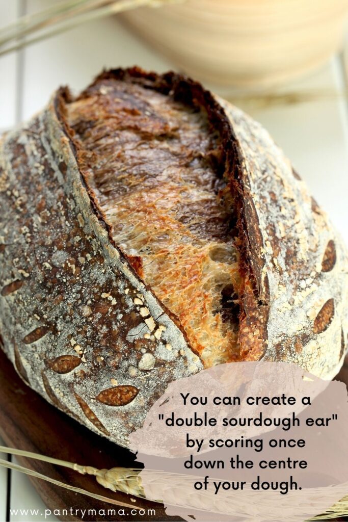 ¿Qué es una oreja de masa madre doble?  Crea una oreja doble de masa fermentada marcando una vez en el centro de la masa.