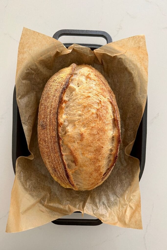 Pan vegano de masa madre elaborado únicamente con harina, agua y sal.  El pan horneado está sobre papel pergamino dentro de un molde para pan de hierro fundido.