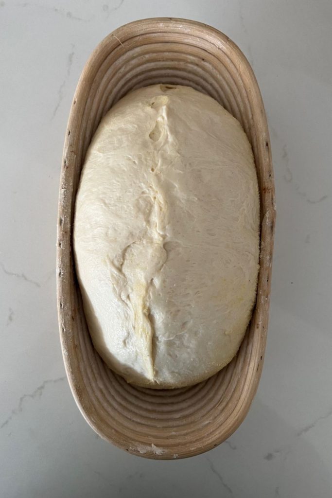 Masa de pan de suero de leche de masa fermentada sentada en un banneton ovalado.