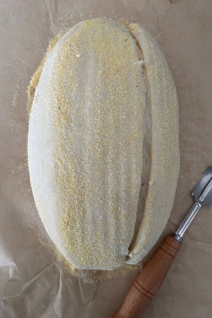 La masa de pan de suero de leche de masa fermentada se convirtió en un trozo de papel pergamino y se marcó en el lado derecho.  Hay un cojo con mango de madera sentado a la derecha de la masa.