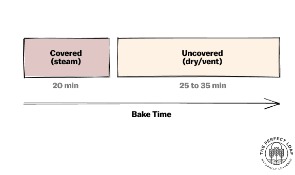 Cómo hornear masa de pan en un diagrama de tiempo de horno holandés