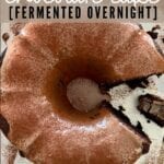 Pastel de chocolate con masa fermentada - Fermentado durante la noche - Imagen de Pinterest