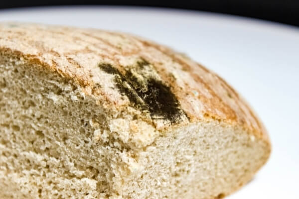 4 formas simples de saber que su pan está malo (no se necesita equipo especial)