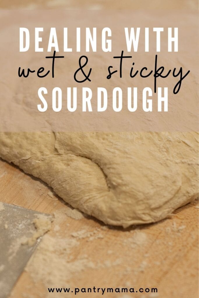 ¿Por qué mi masa madre está tan húmeda y pegajosa?