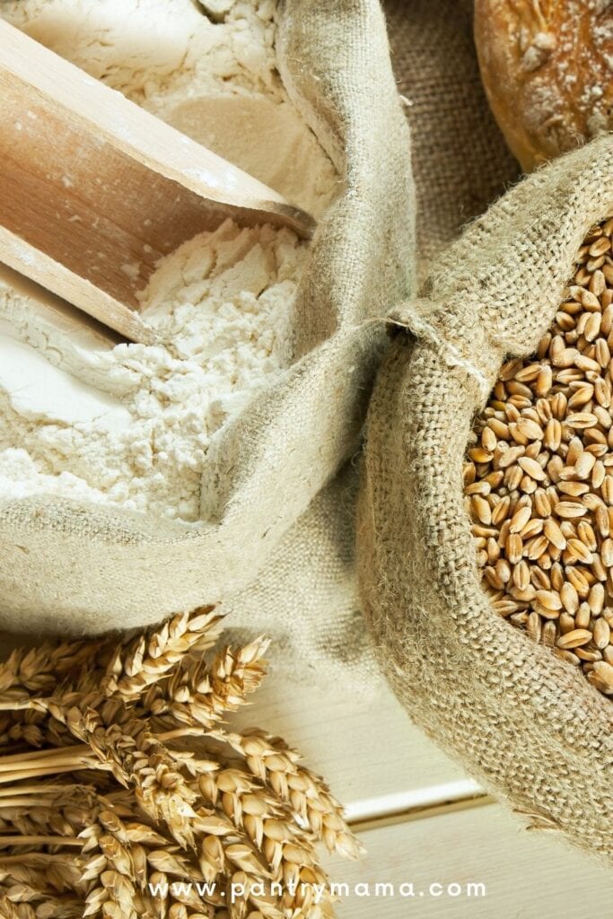 ¿Por qué mi masa madre está tan húmeda y pegajosa?