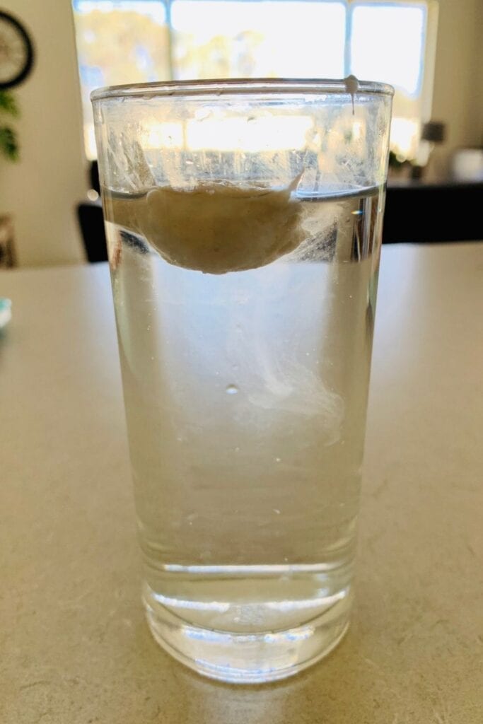 Prueba de flotación de masa madre: ¿es realmente necesaria?