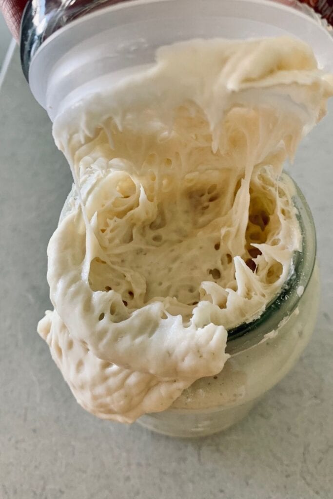 10 tipos diferentes de masa fermentada y cómo usarlos