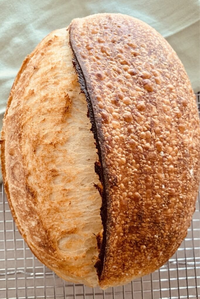 10 tipos diferentes de masa fermentada y cómo usarlos