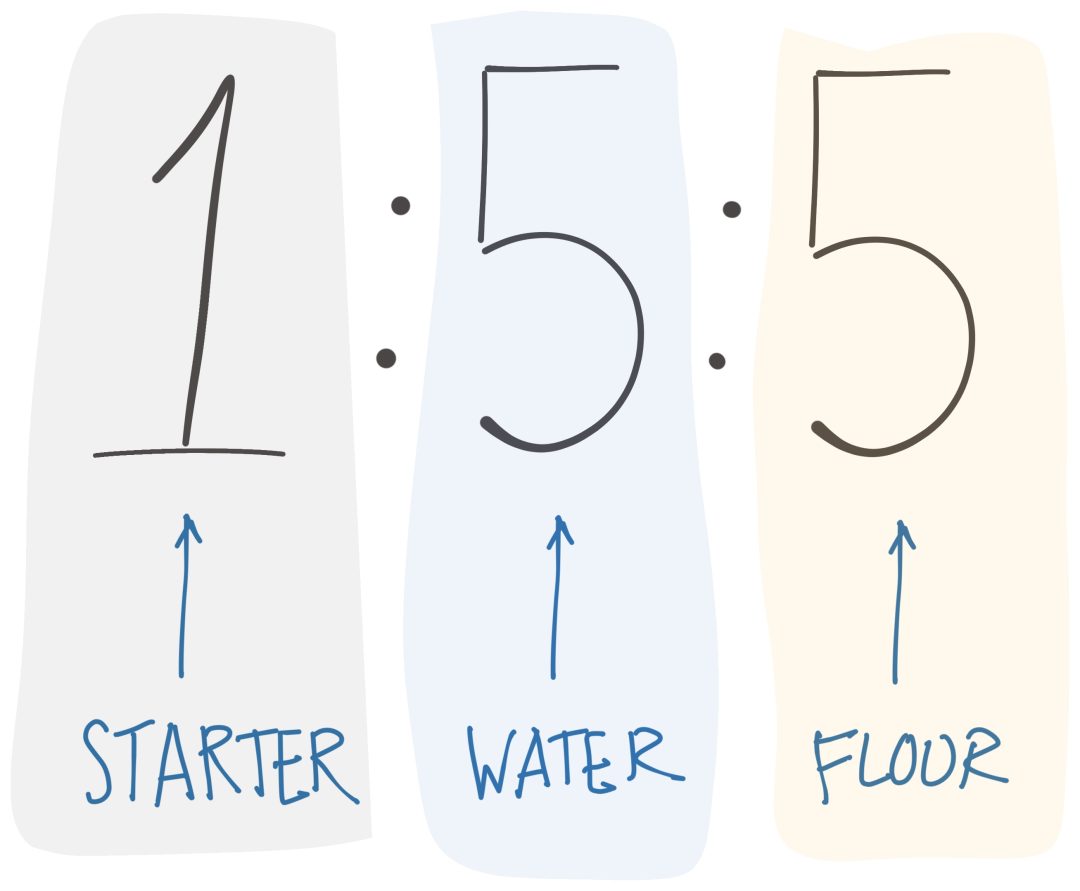 21 problemas comunes de la masa fermentada con soluciones