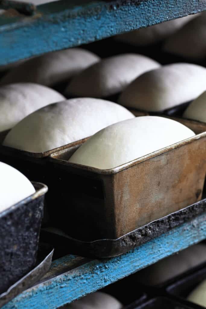 Venta de pan de masa madre: cómo montar una panadería de masa madre en casa