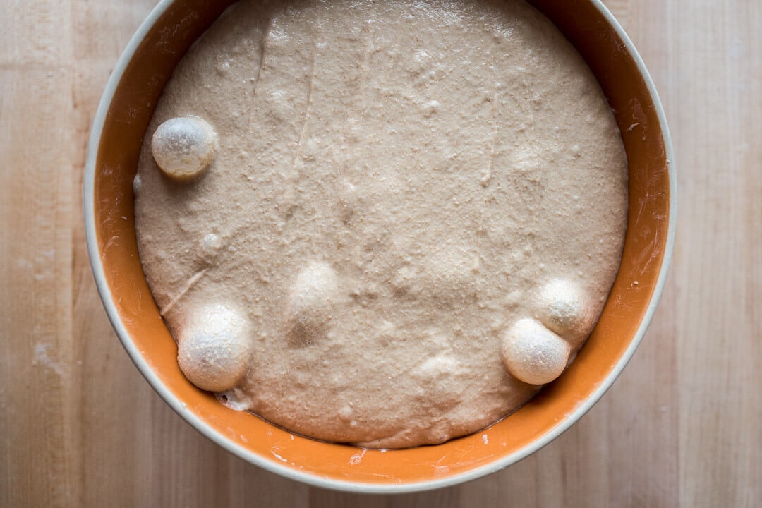 La importancia de la temperatura de la masa en la cocción La importancia de la temperatura de la masa en la cocción