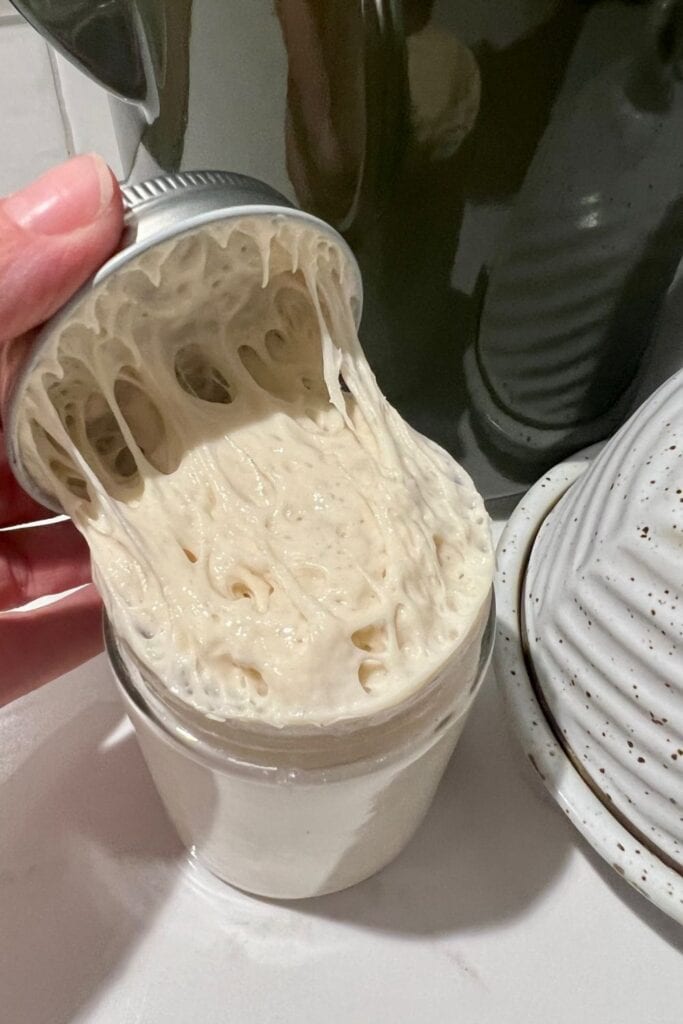 5 maneras de saber si su masa madre no está fermentada… y cómo solucionarlo