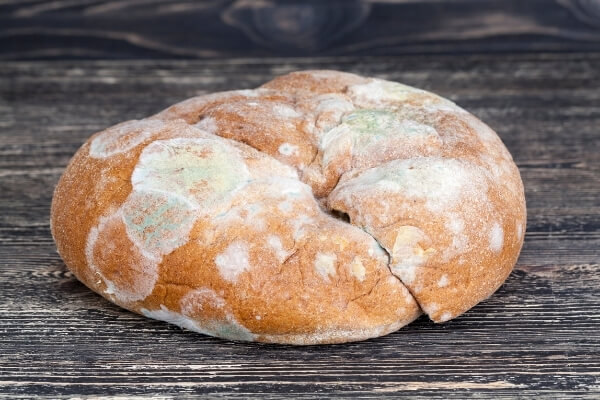 4 formas simples de saber que su pan está malo (no se necesita equipo especial)