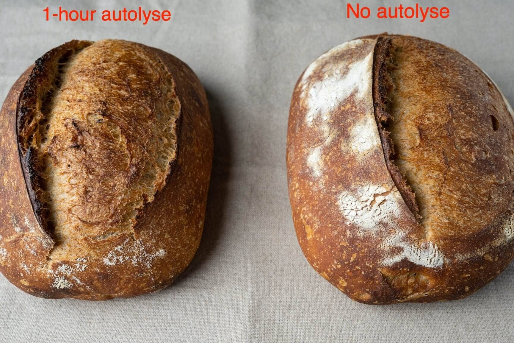 La guía definitiva para autolizar masa de pan |