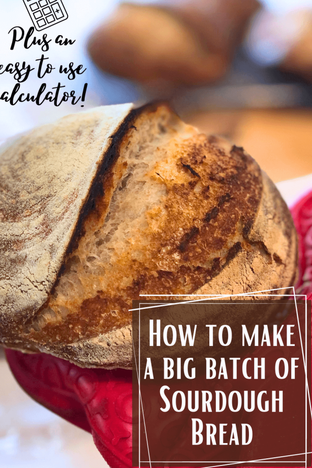 Cómo hacer una gran cantidad de pan de masa madre (calculadora) - Viviendo ...