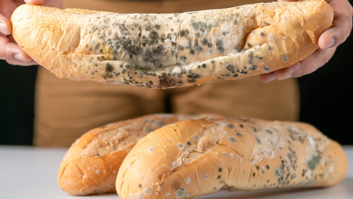 Qué hacer si accidentalmente comes moho