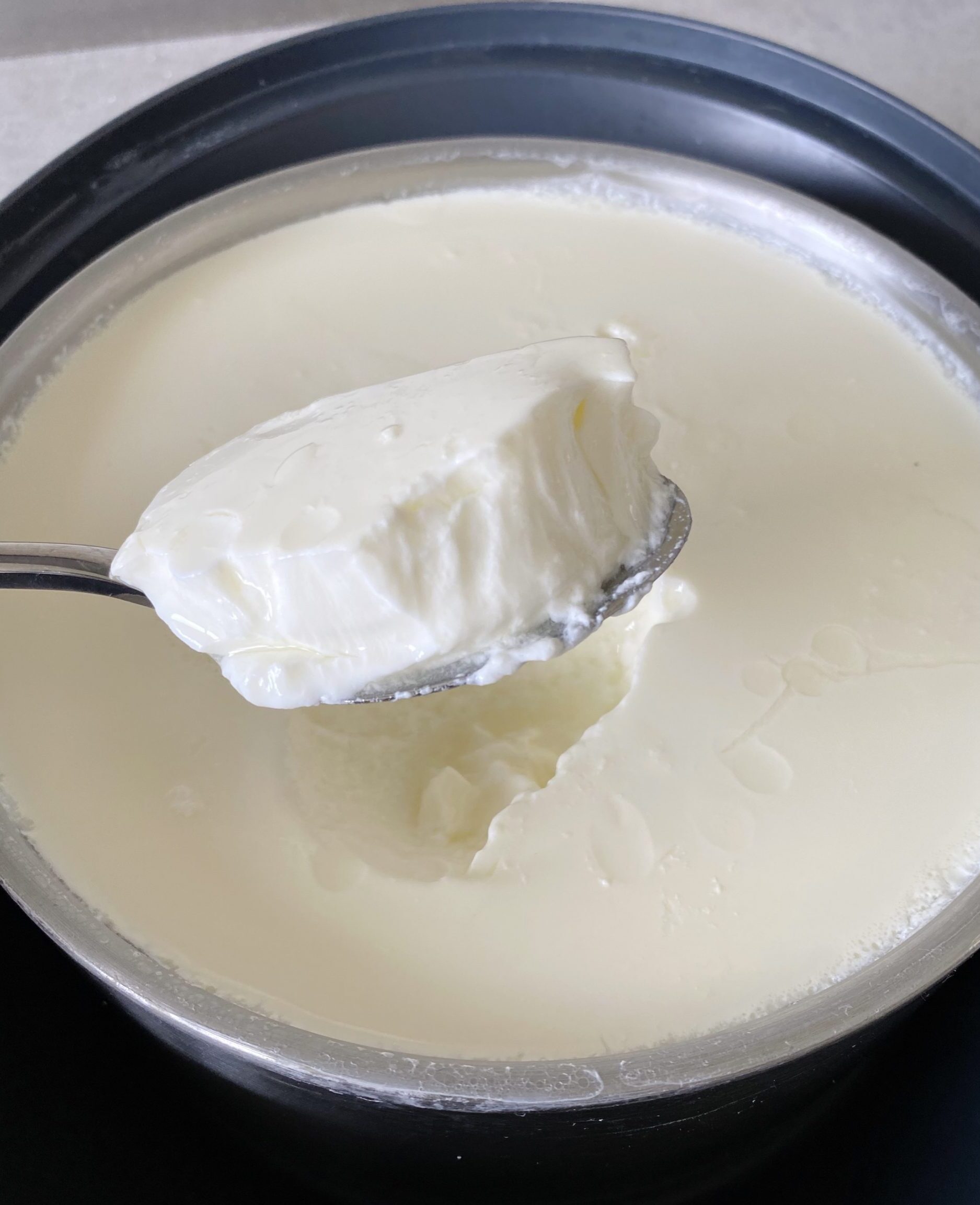 Yogur Thermomix: haga yogur espeso y cremoso en su TM31, TM5 o TM6 Receta de yogur cremoso griego Thermomix TM6 Varoma con Thermoserver.